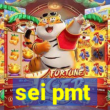 sei pmt